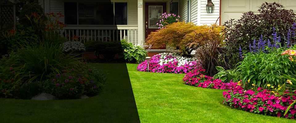 Elizabethville Landscapers