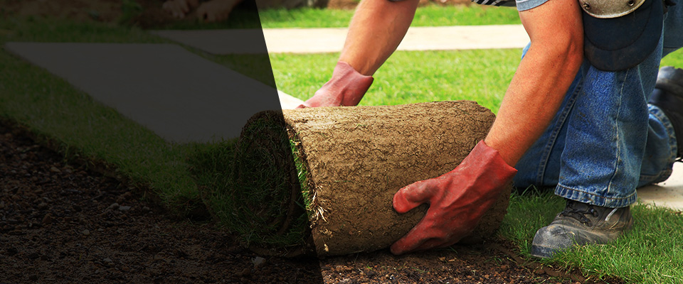 Elizabethville Landscapers